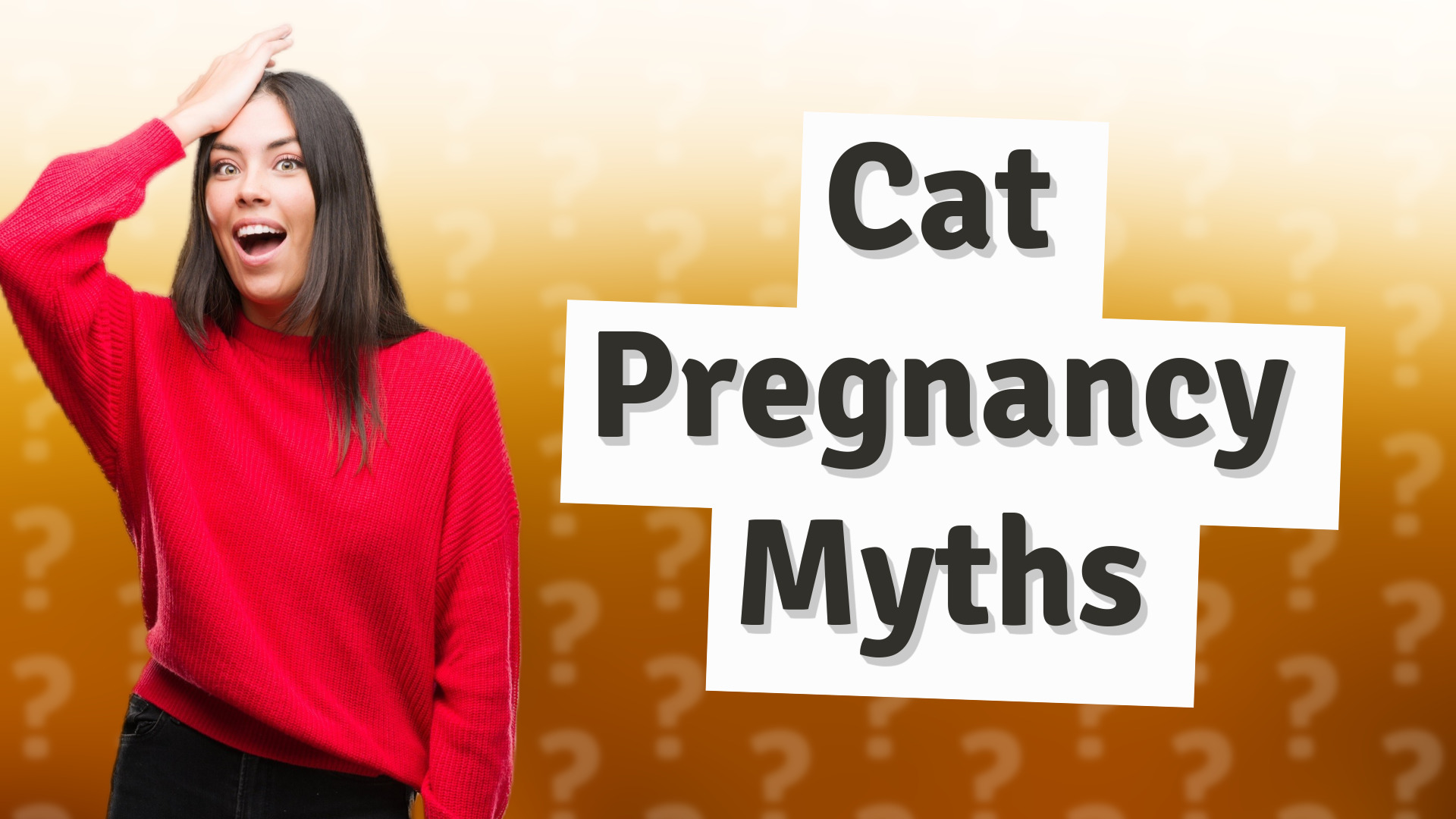 Cat Pregnancy Myths