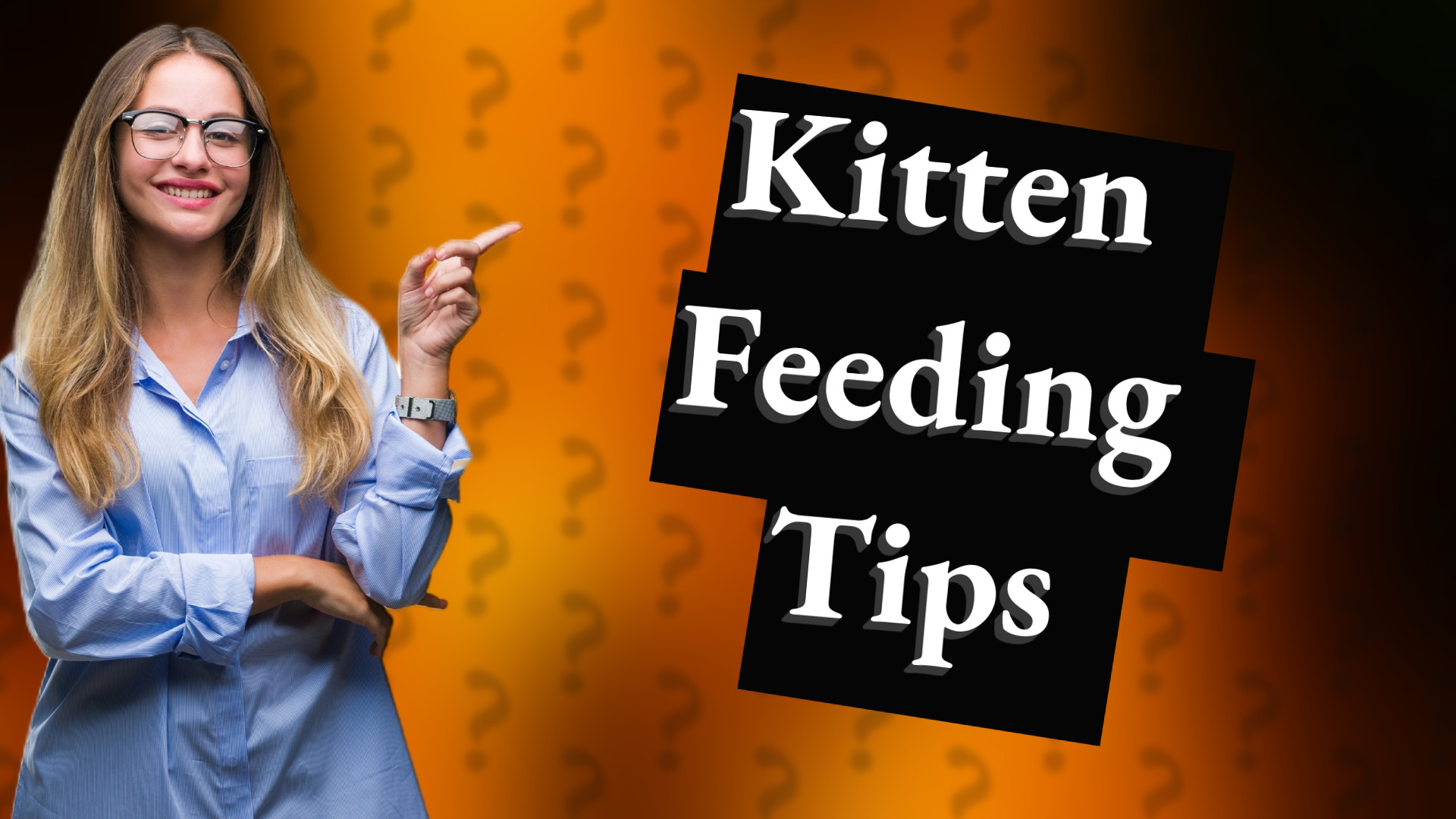 Kitten Feeding Tips