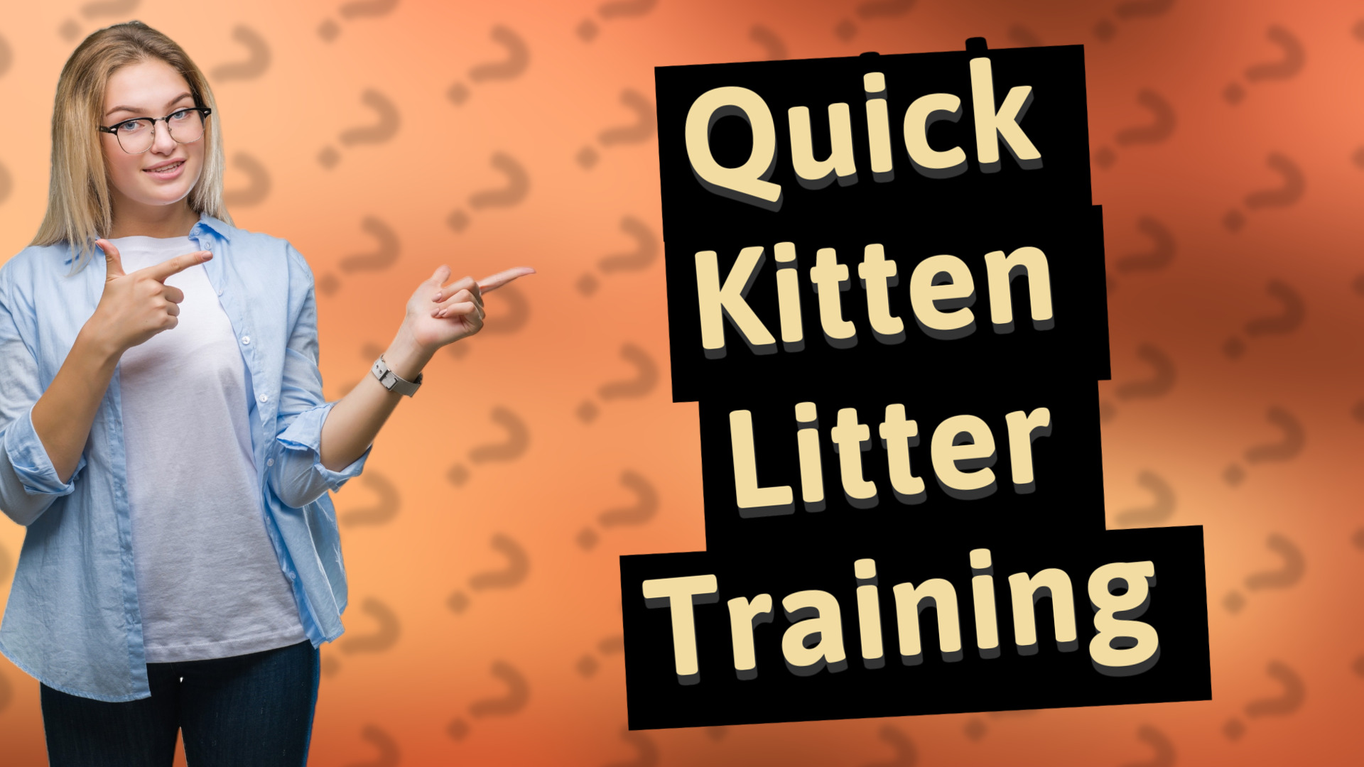 Quick Kitten Litter Training