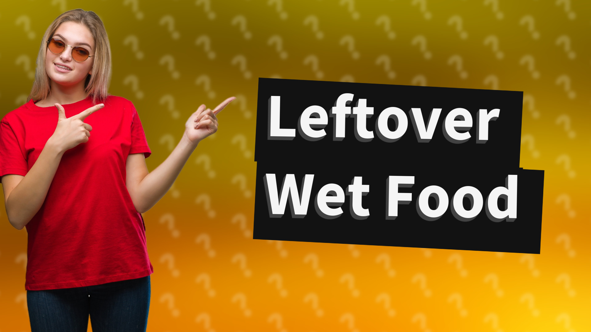 Leftover Wet Food