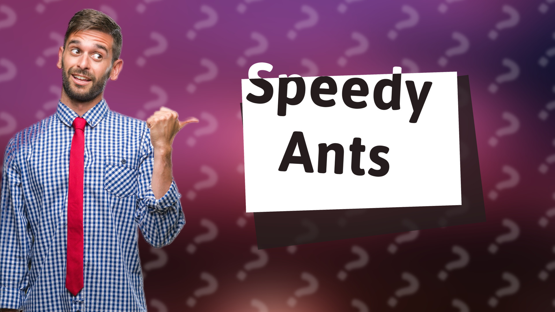 Speedy Ants