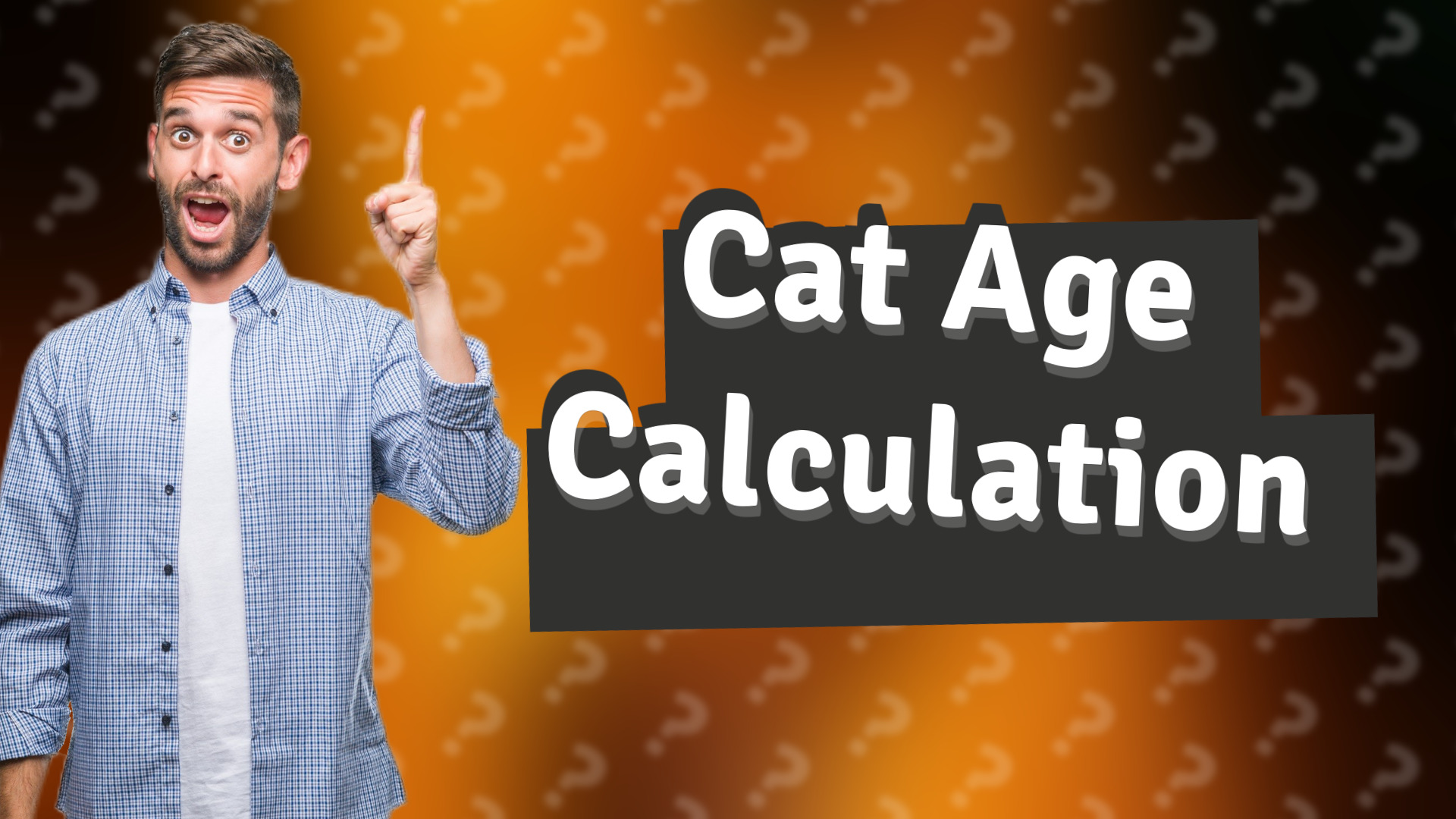 Cat Age Calculation