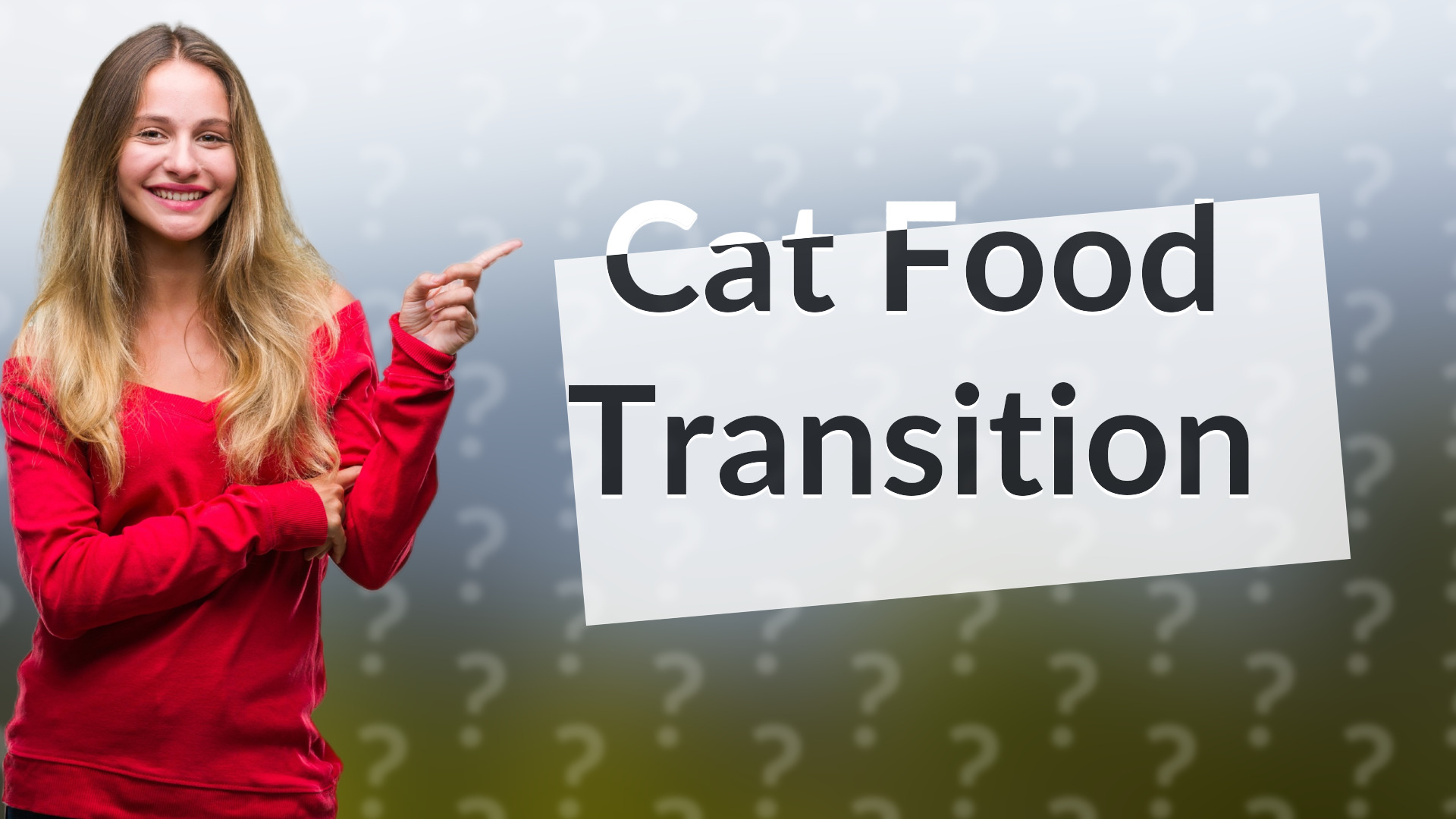 Cat Food Transition