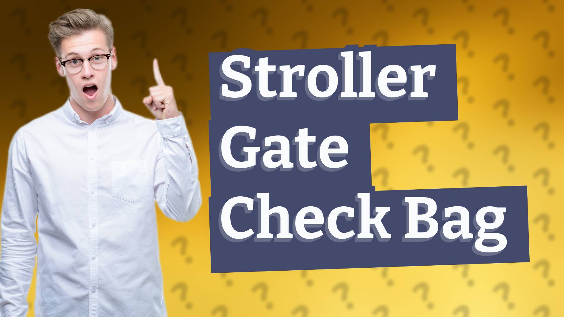 Stroller Gate Check Bag