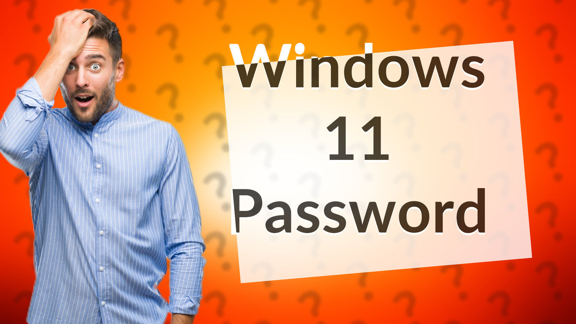 Windows 11 Password