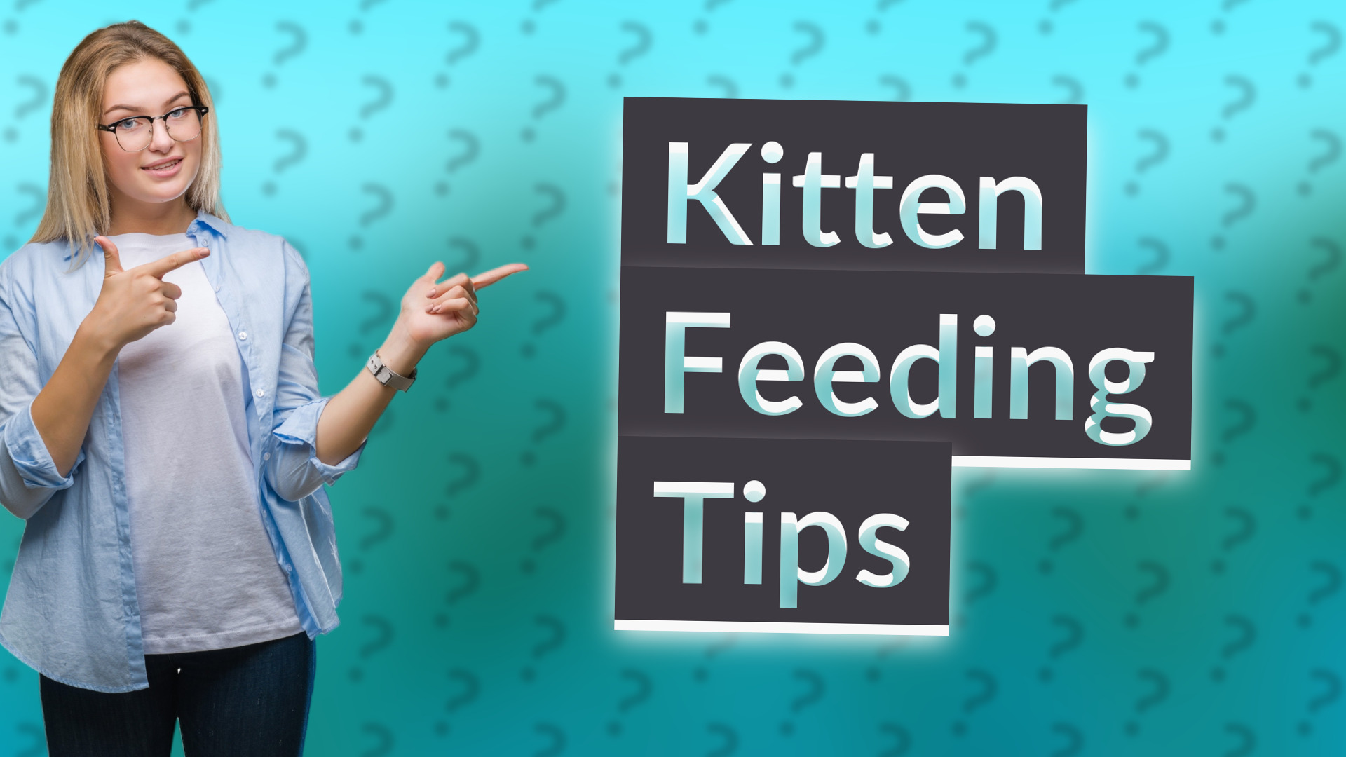 Kitten Feeding Tips