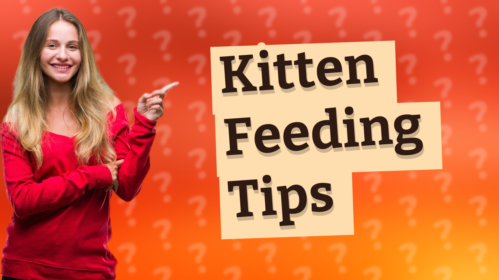 Kitten Feeding Tips