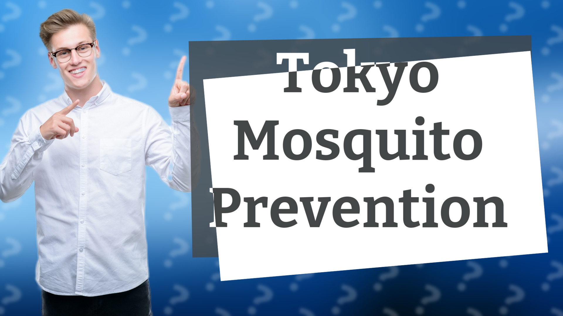 Tokyo Mosquito Prevention