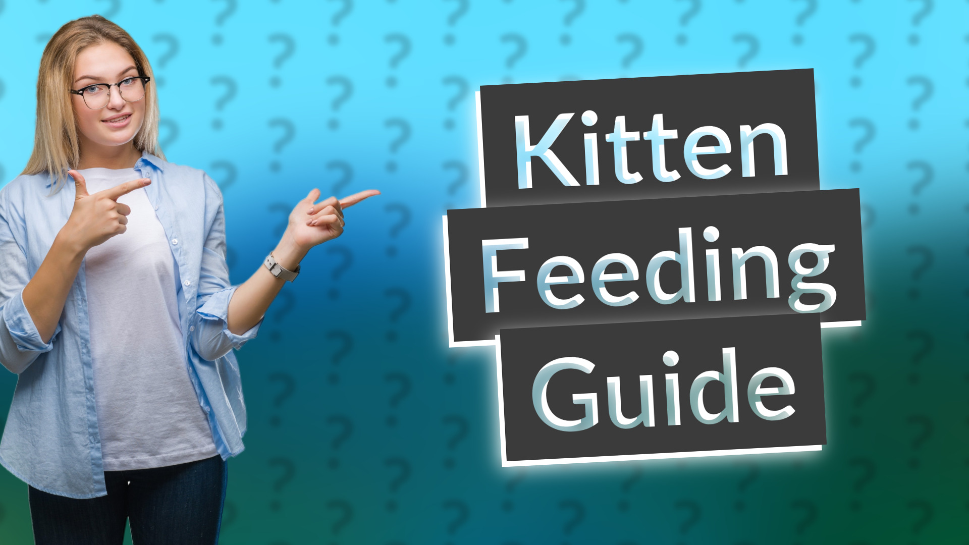 Kitten Feeding Guide