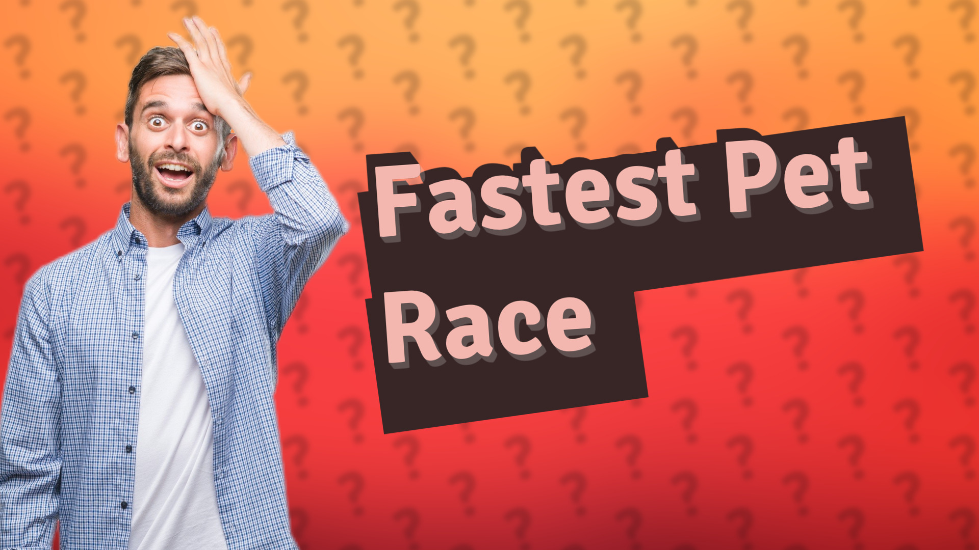 Fastest Pet Race