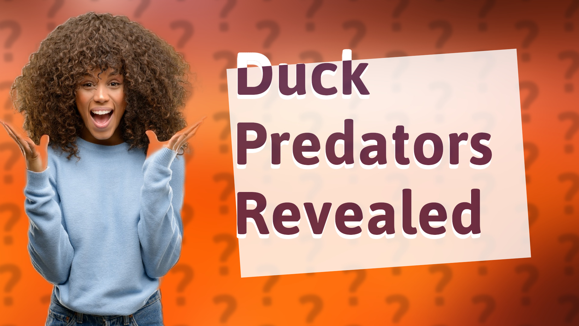 Duck Predators Revealed