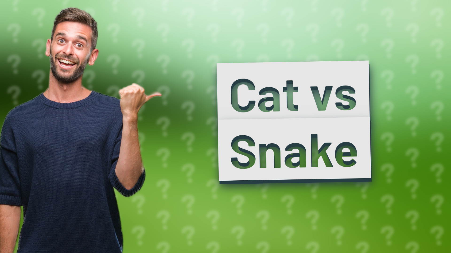 Cat vs Snake
