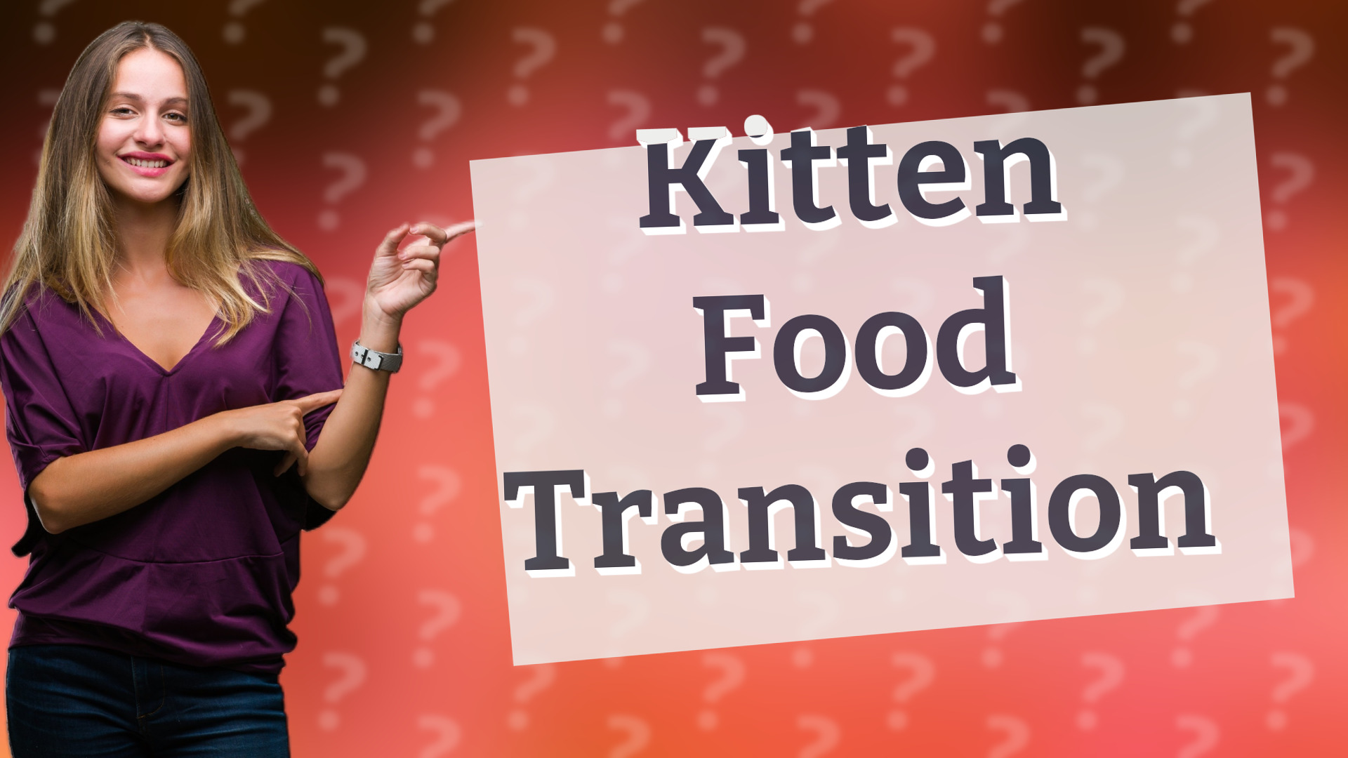 Kitten Food Transition