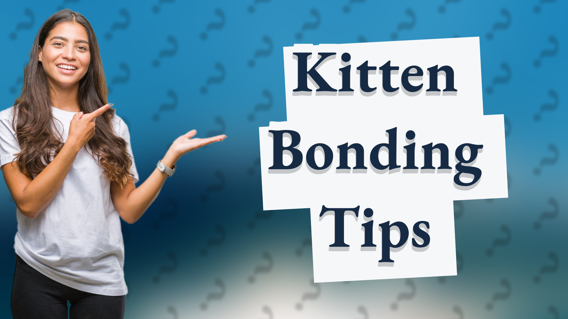 Kitten Bonding Tips