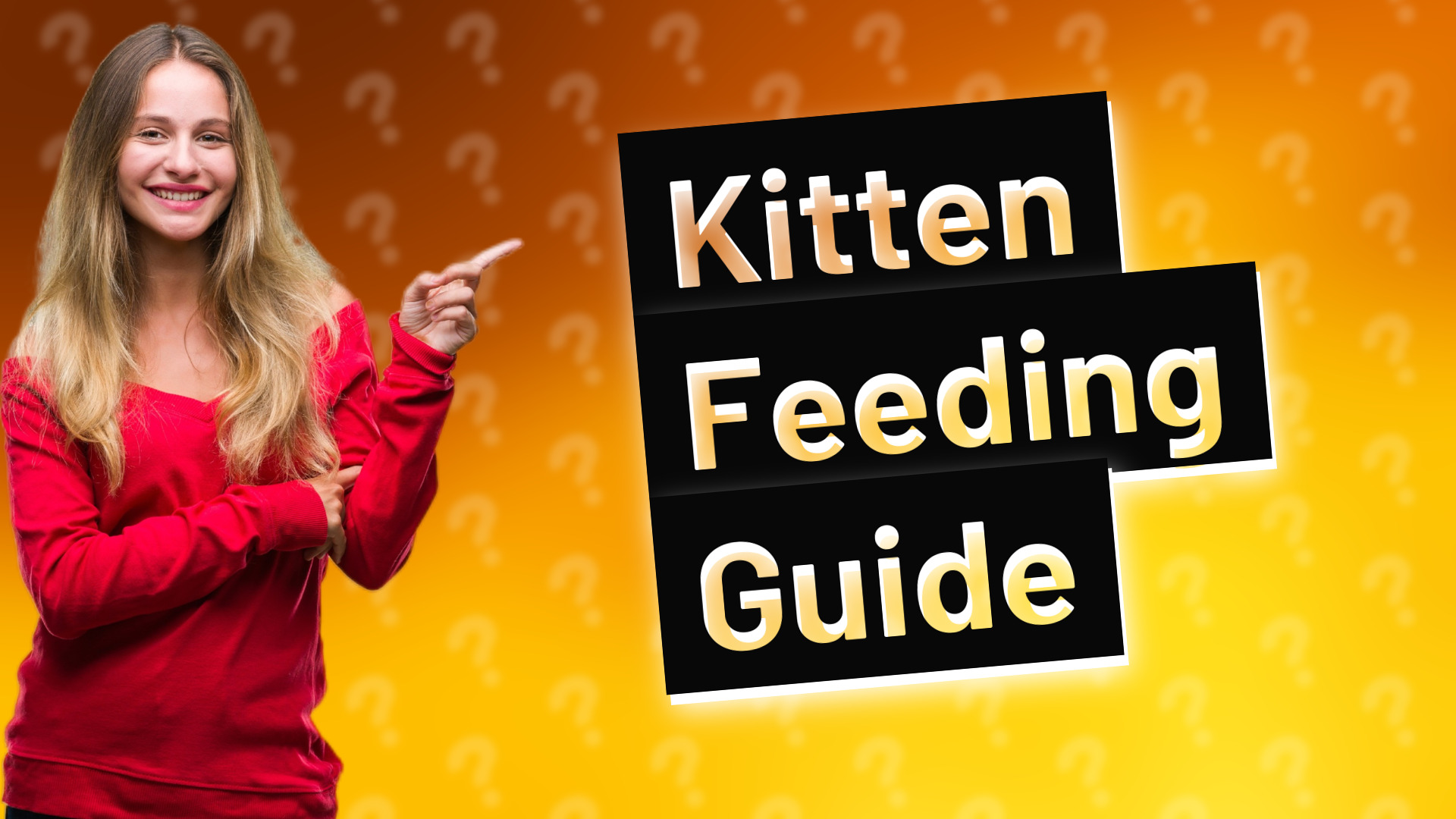 Kitten Feeding Guide