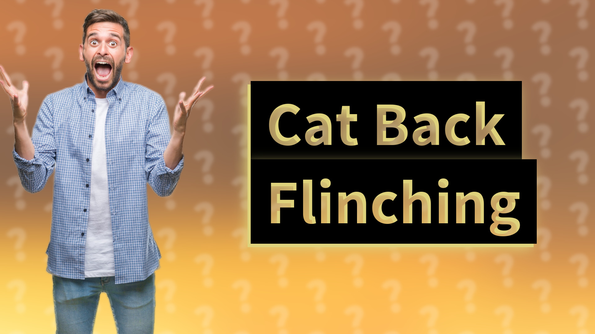 Cat Back Flinching