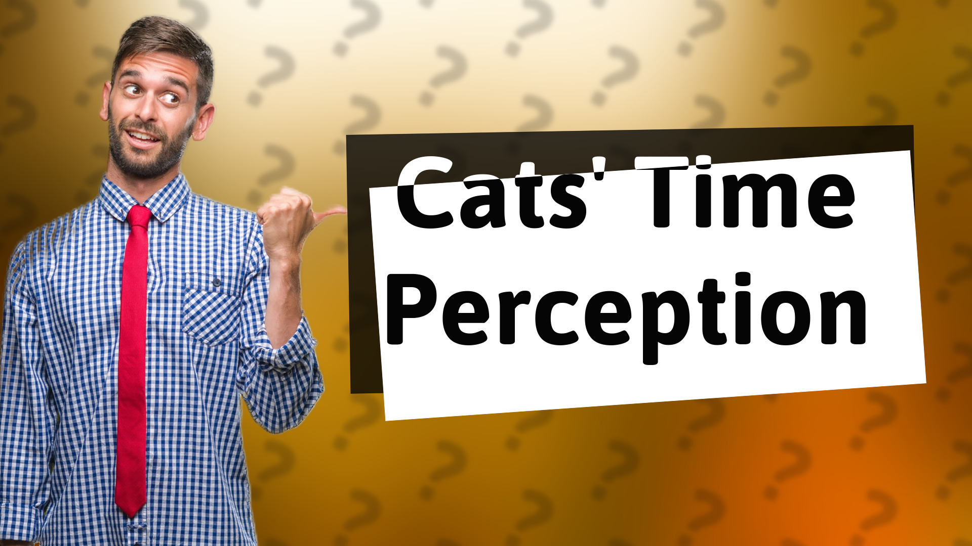 Cats' Time Perception