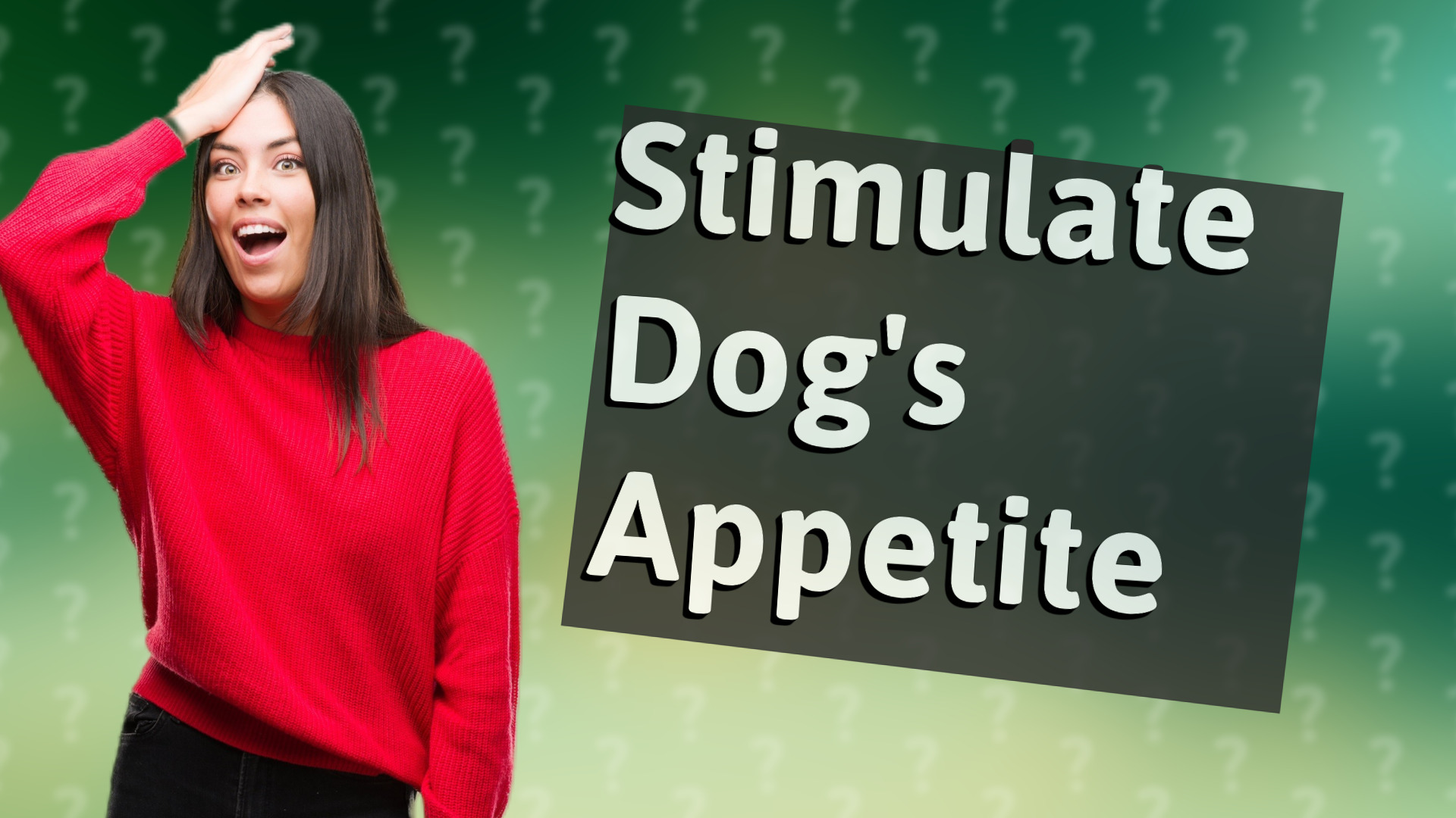 Stimulate Dog's Appetite