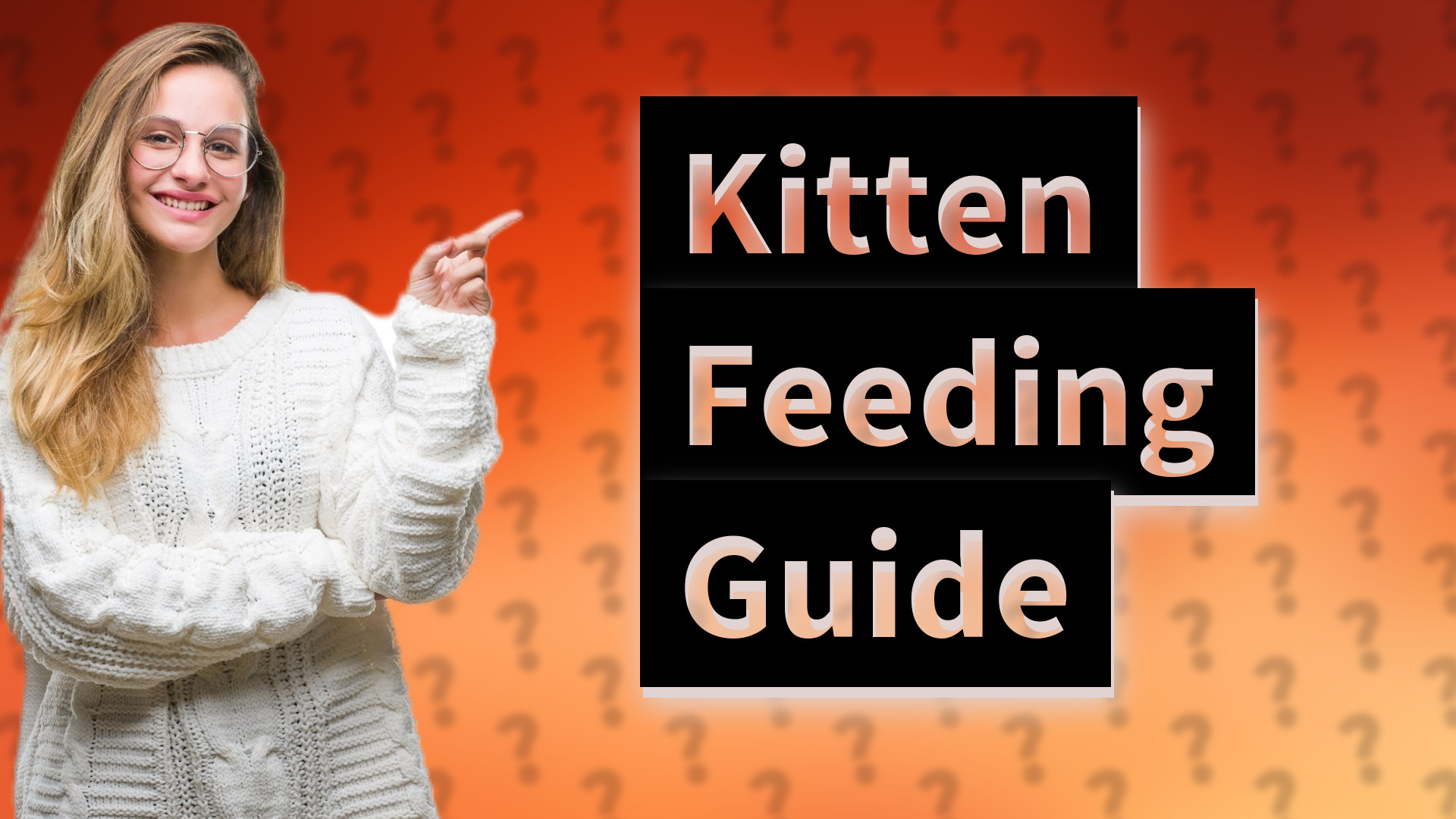 Kitten Feeding Guide