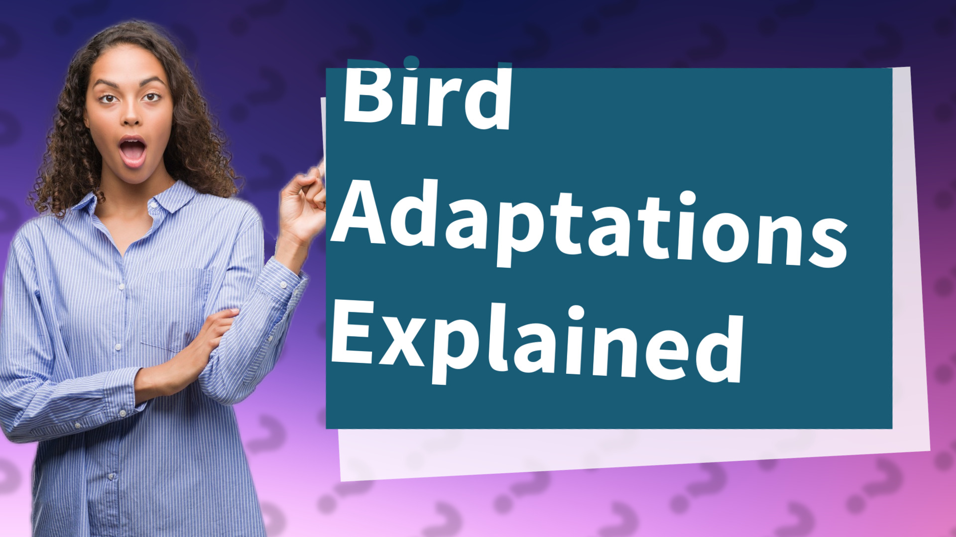 Bird Adaptations Explained
