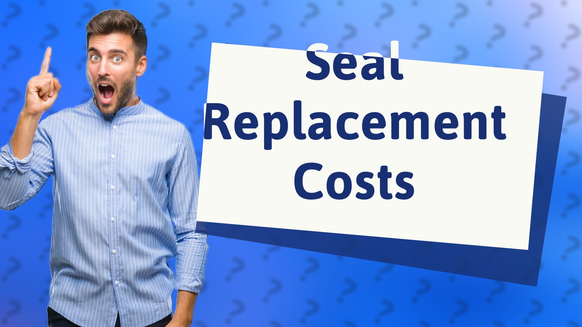 Seal Replacement Costs