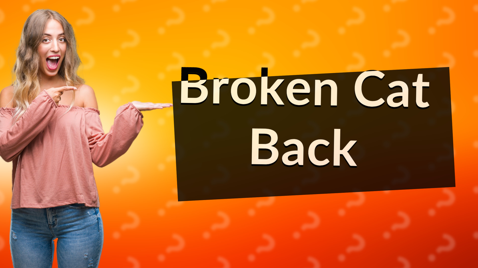 Broken Cat Back