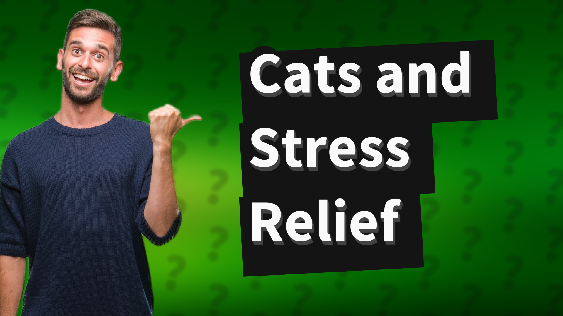 Cats and Stress Relief