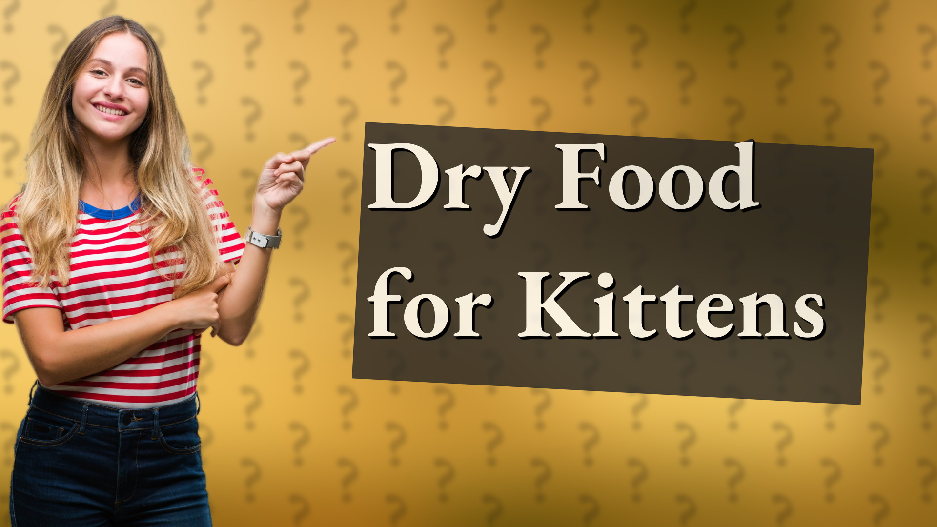 Dry Food for Kittens