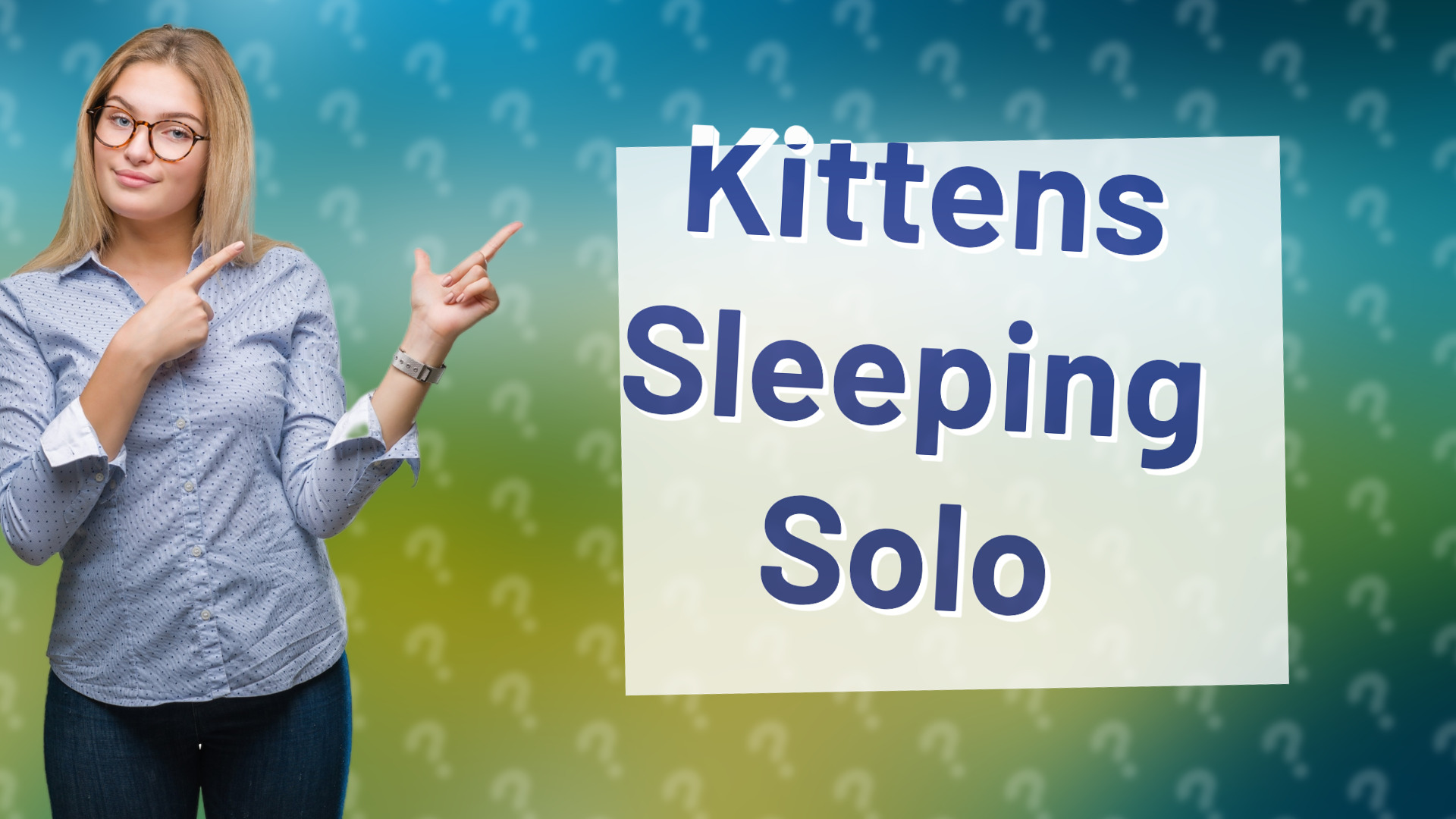 Kittens Sleeping Solo