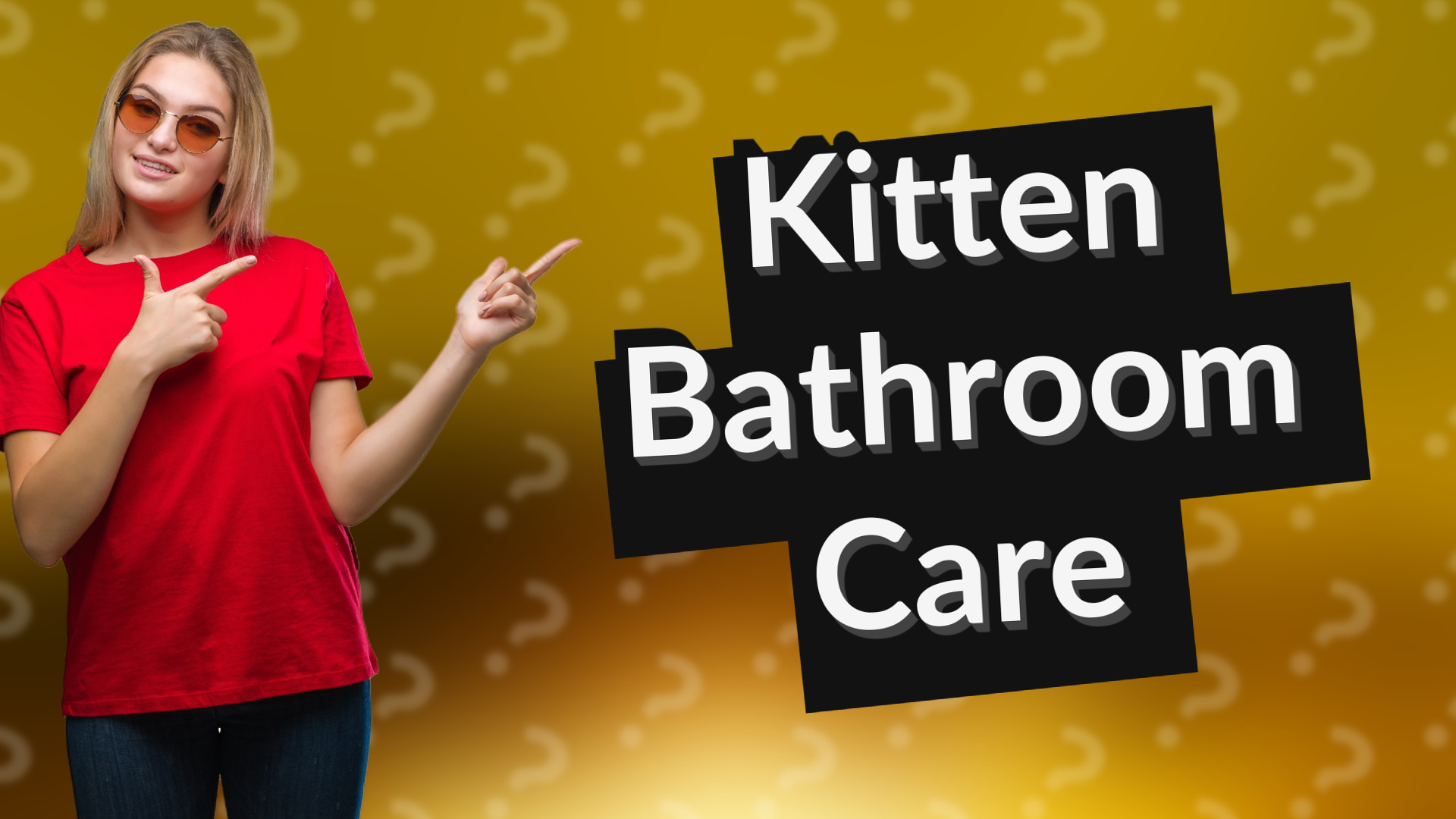 Kitten Bathroom Care