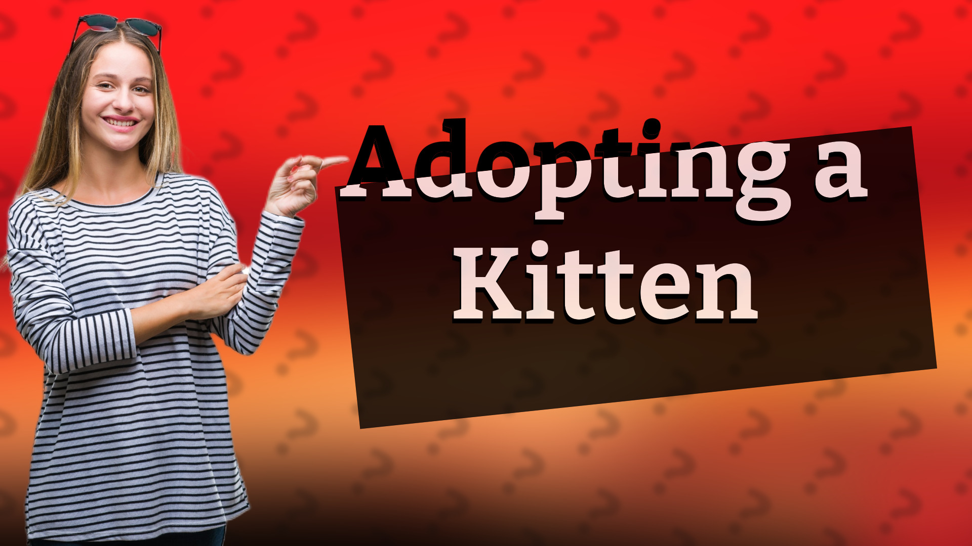 Adopting a Kitten