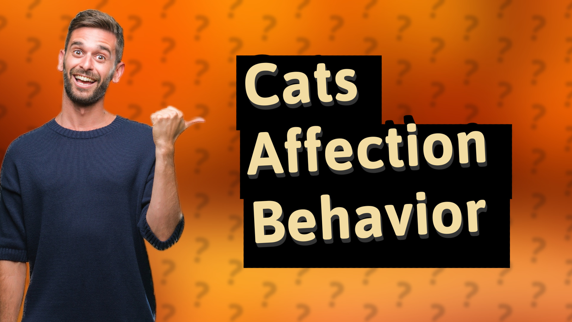 Cats Affection Behavior