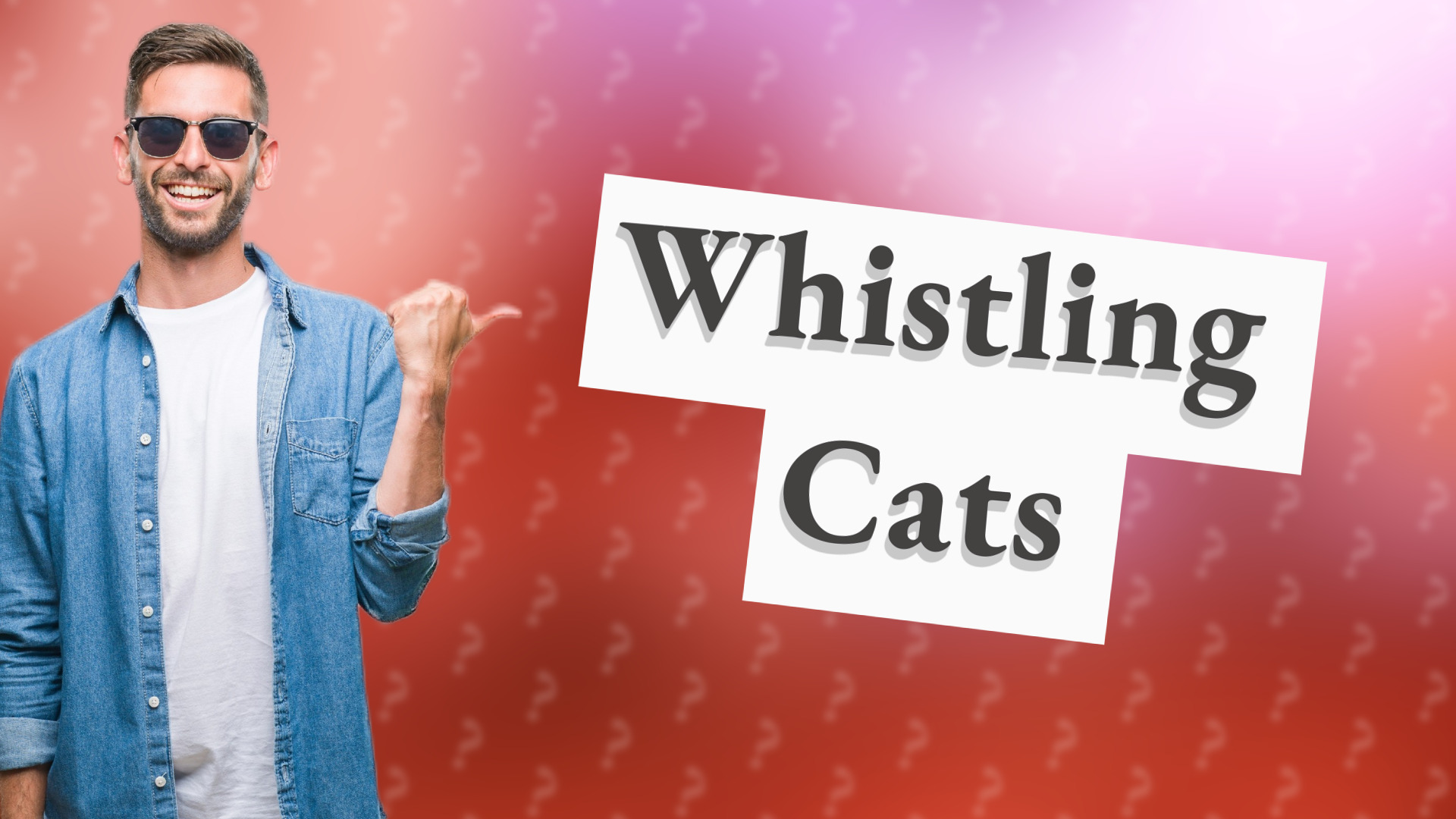 Whistling Cats
