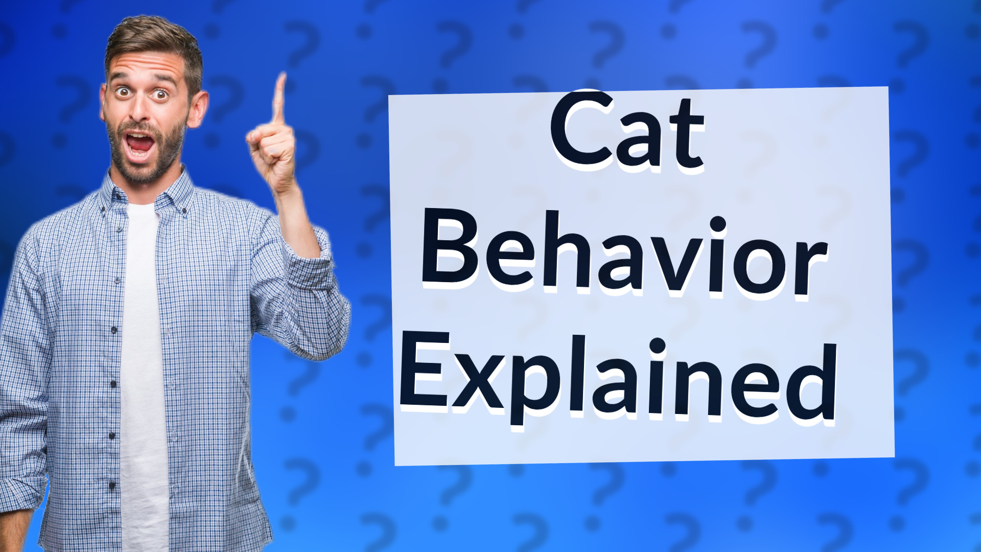 Cat Behavior Explained
