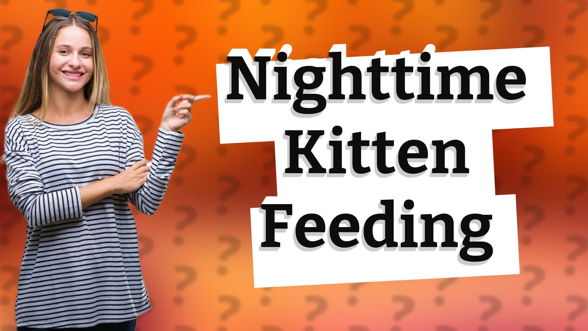 Nighttime Kitten Feeding