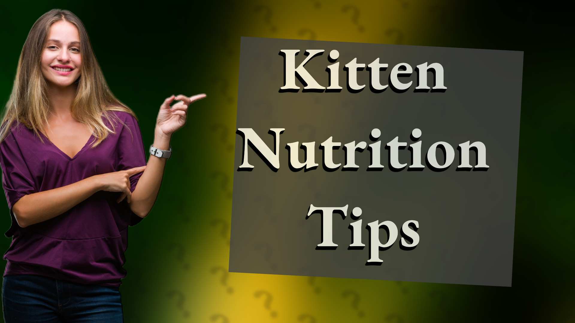 Kitten Nutrition Tips