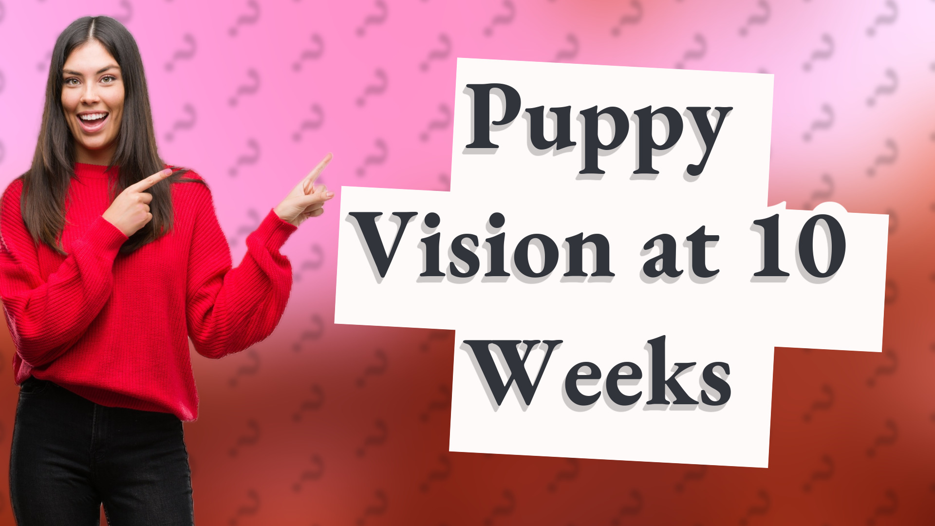 Puppy Vision at 10 Weeks