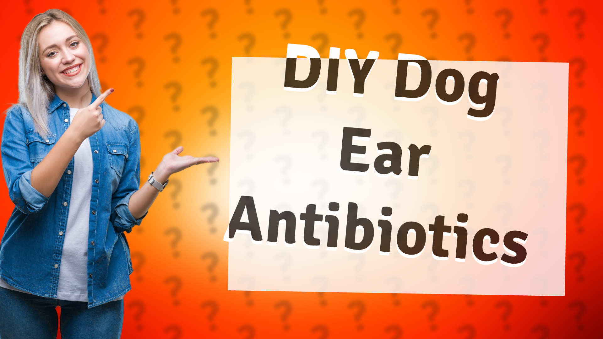 DIY Dog Ear Antibiotics
