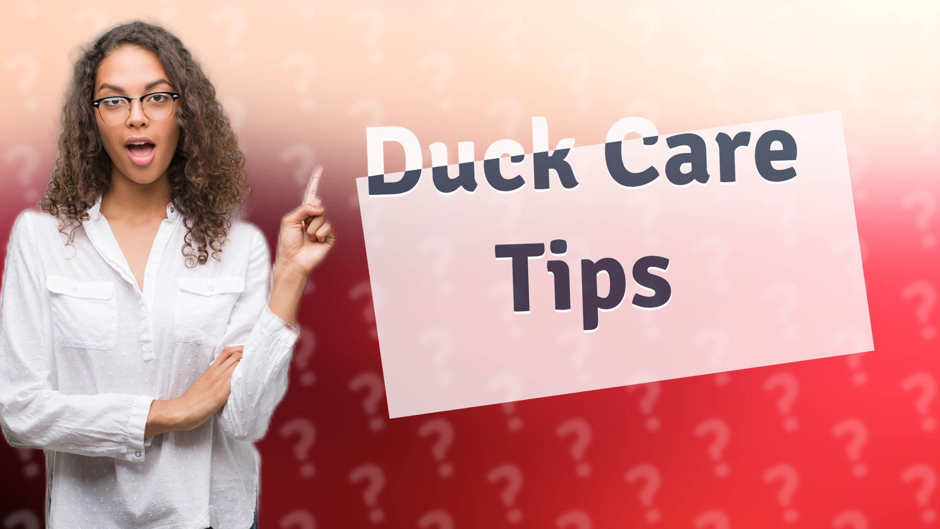 Duck Care Tips