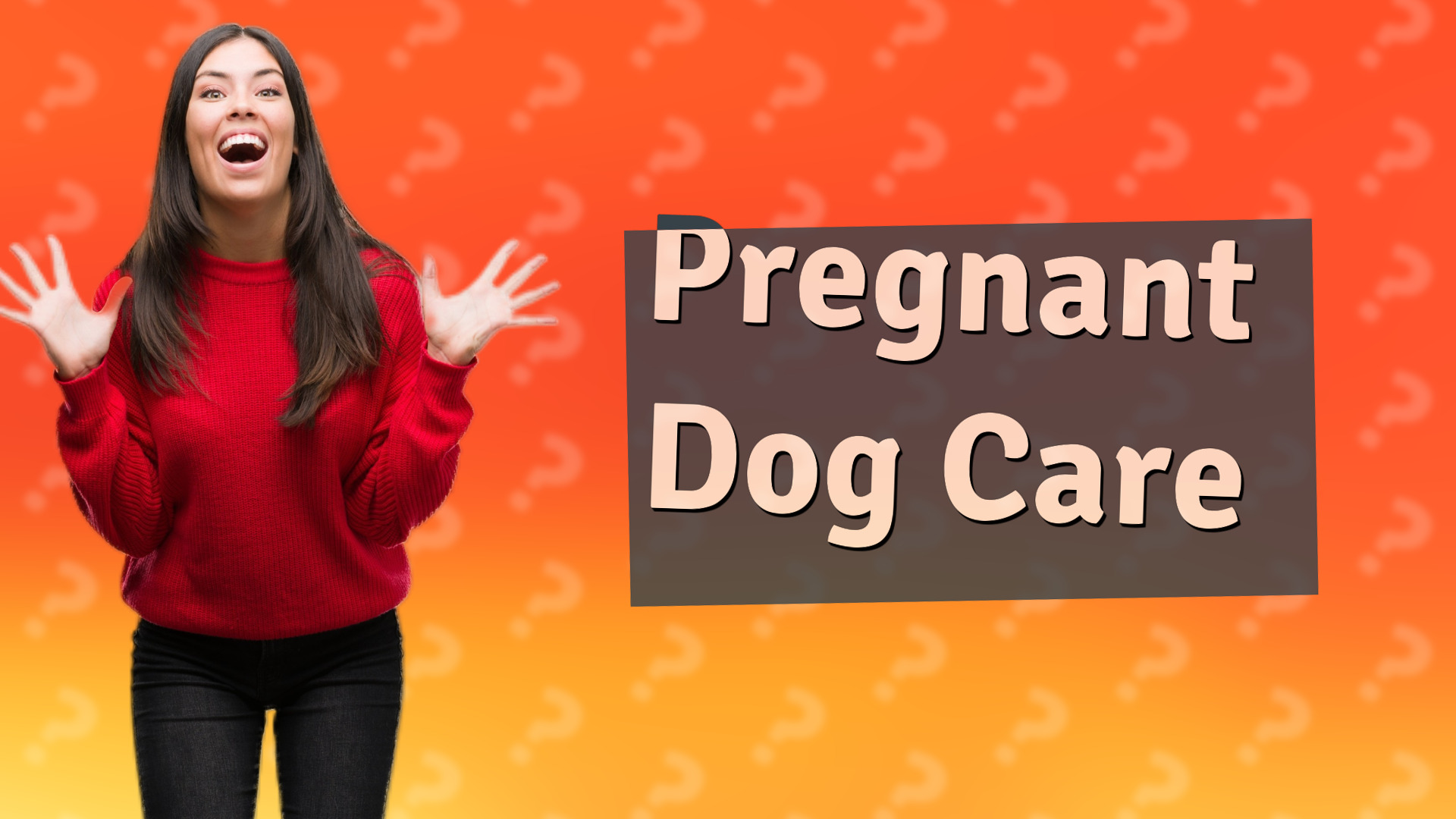 Pregnant Dog Care