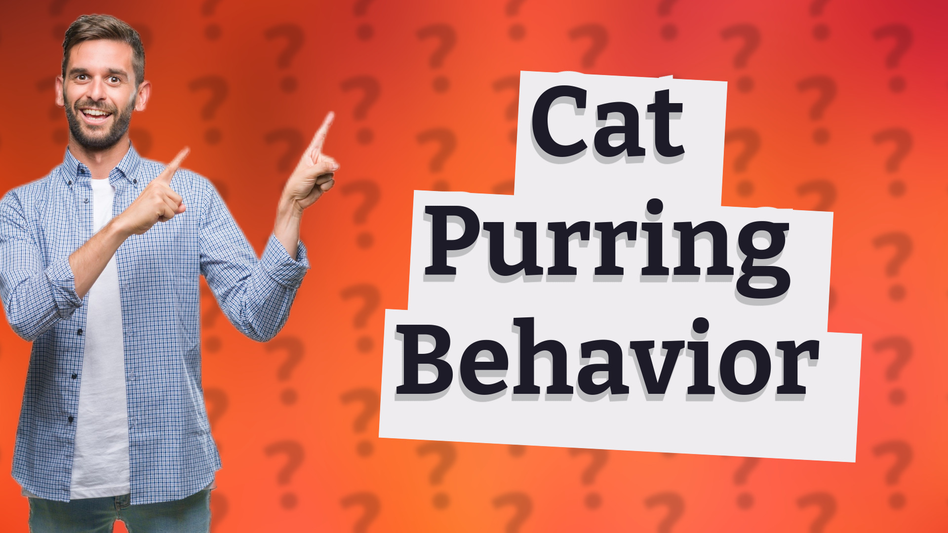 Cat Purring Behavior