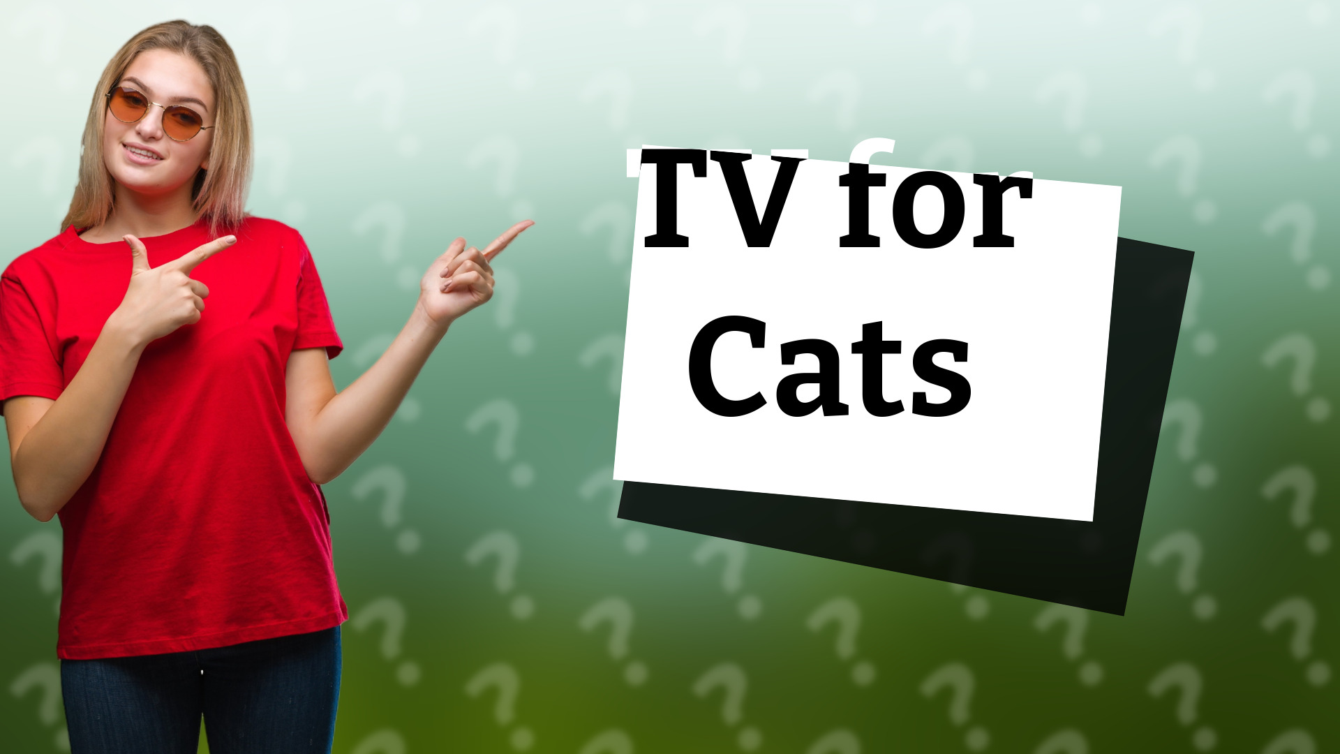 TV for Cats