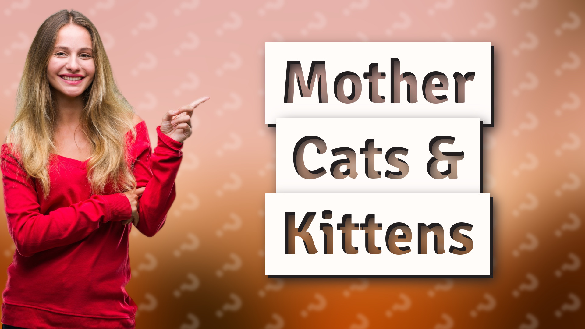 Mother Cats & Kittens