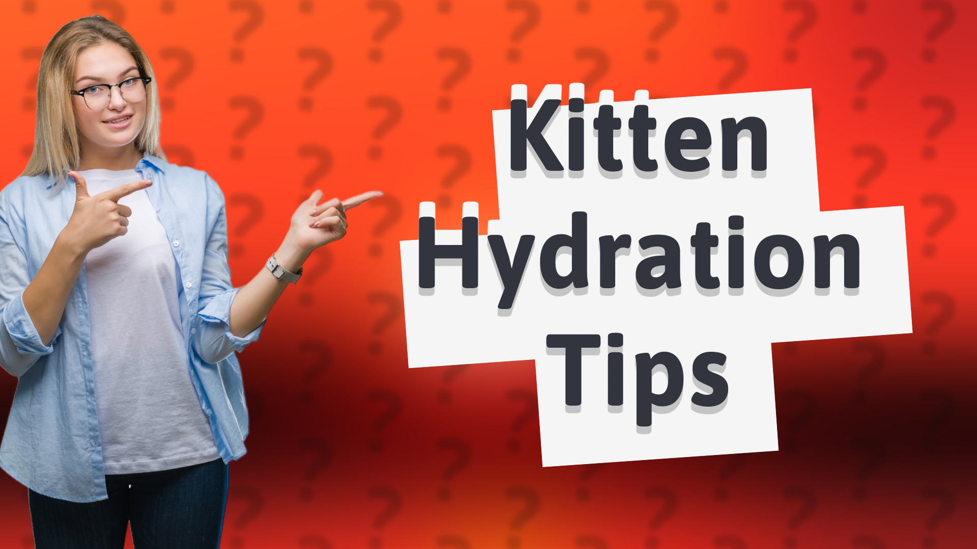 Kitten Hydration Tips