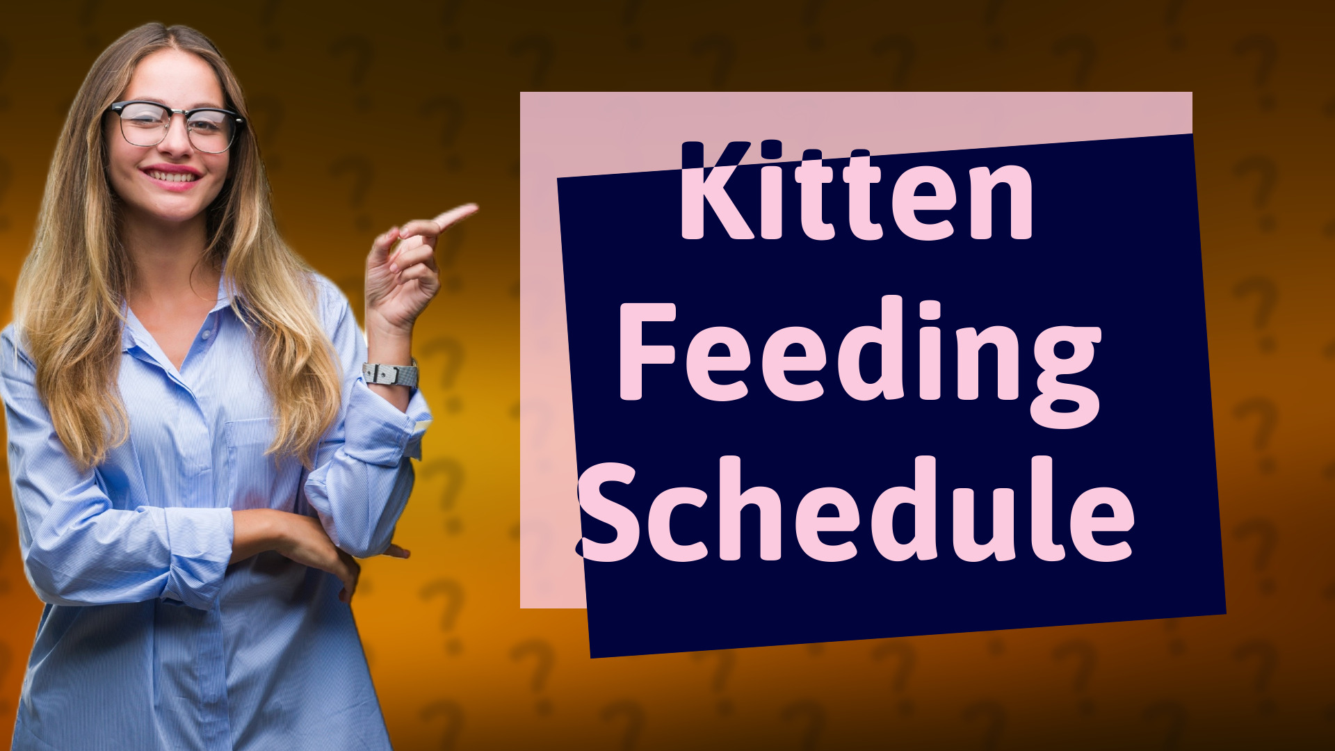 Kitten Feeding Schedule