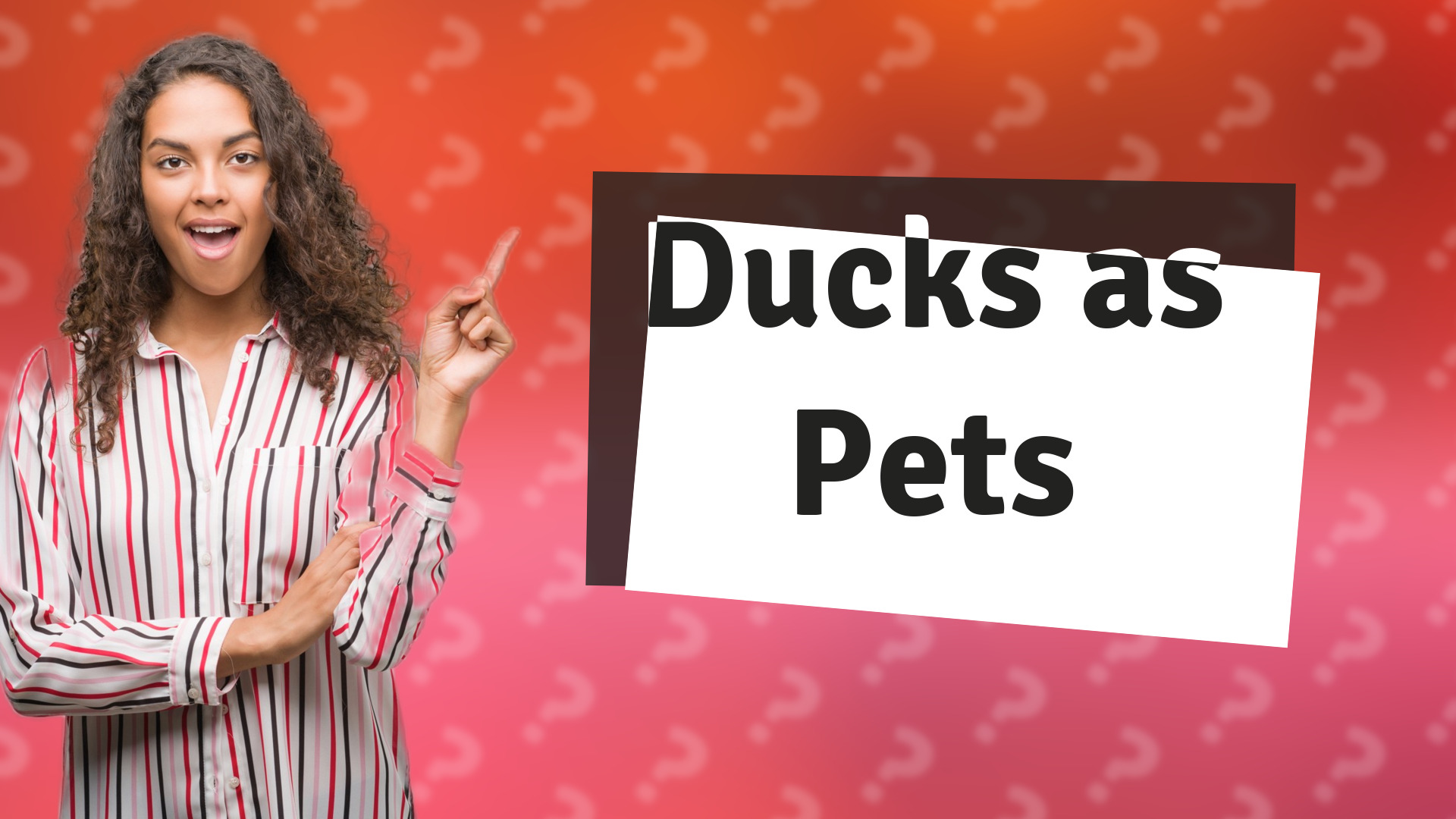 Ducks as Pets