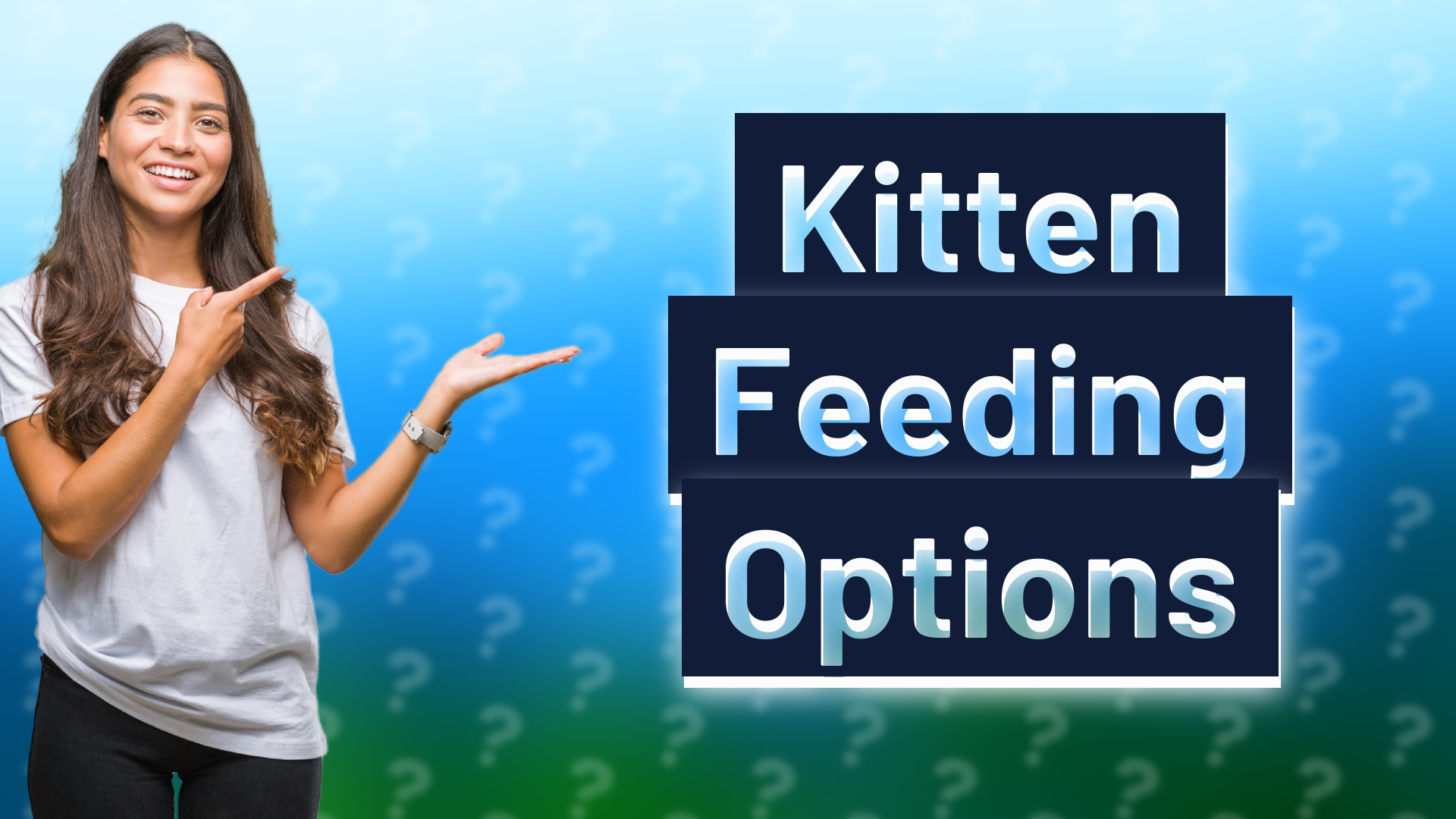 Kitten Feeding Options