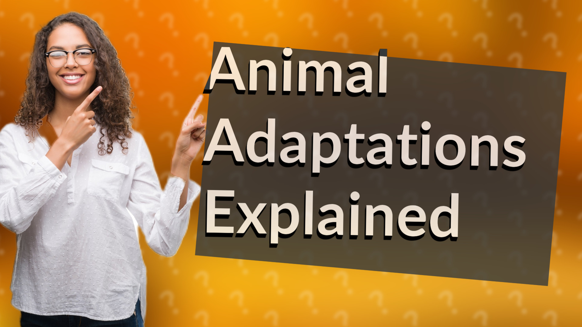 Animal Adaptations Explained