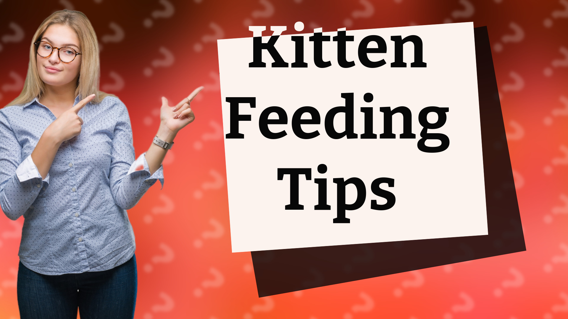 Kitten Feeding Tips