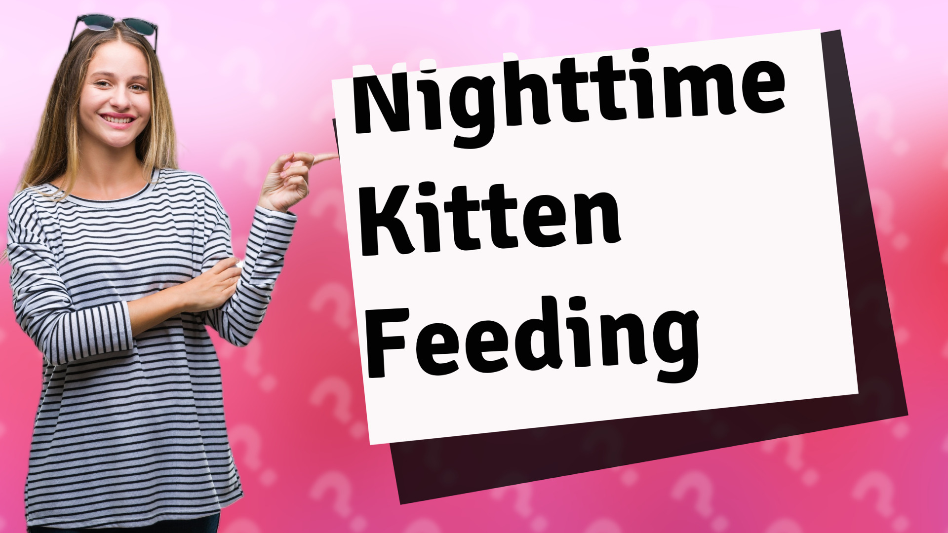 Nighttime Kitten Feeding